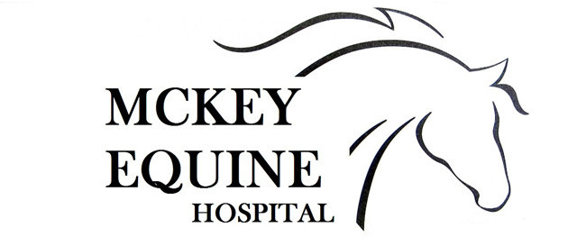 McKey-Equine-Hospital