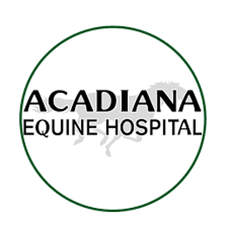 acadiana equine hospital