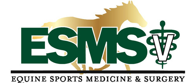 esmslogo